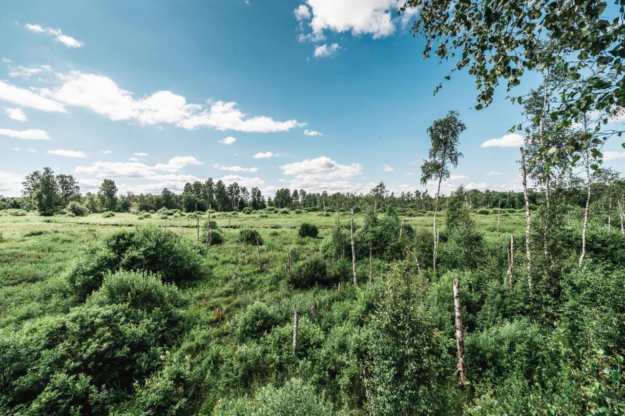 Maidla Nature Resort Zewnętrze zdjęcie